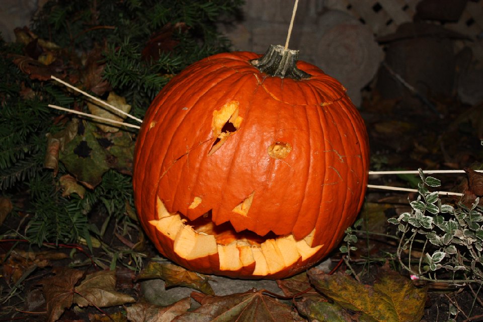 IMG 0506