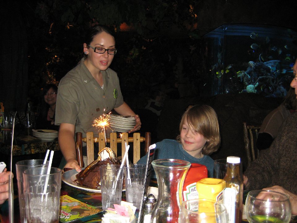 IMG 2958