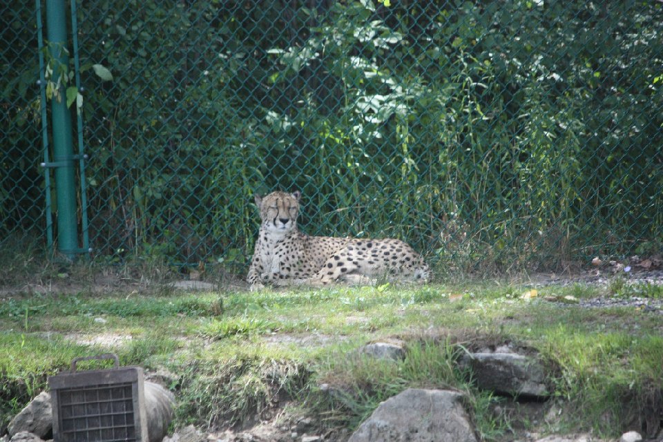 IMG 0592