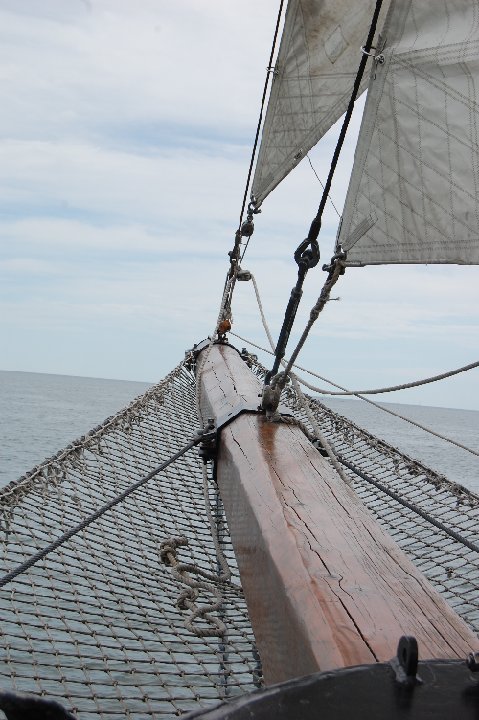 DSC 0978