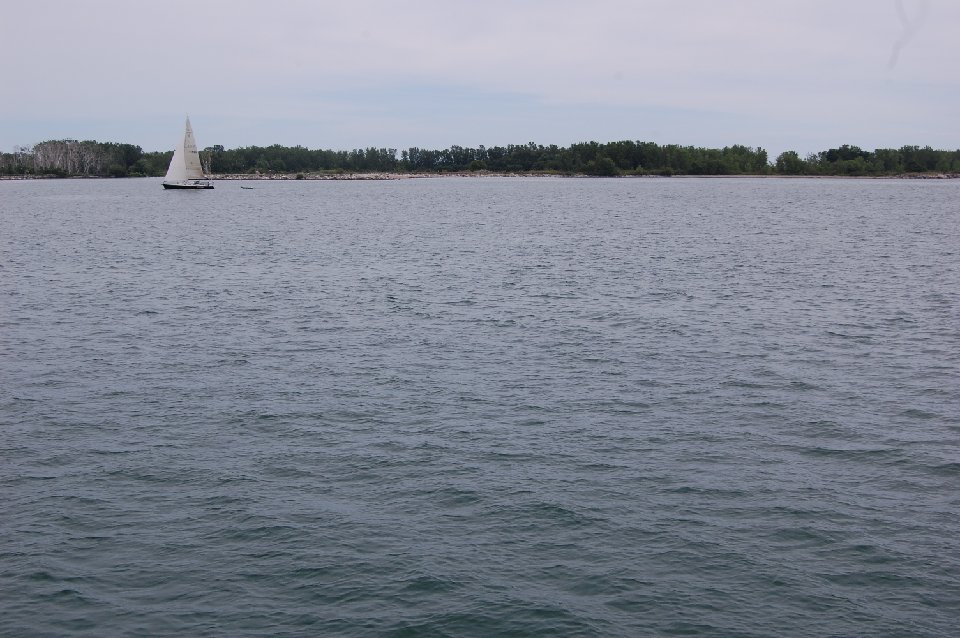 DSC 0996