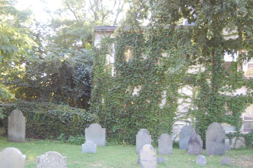 DSC 0238