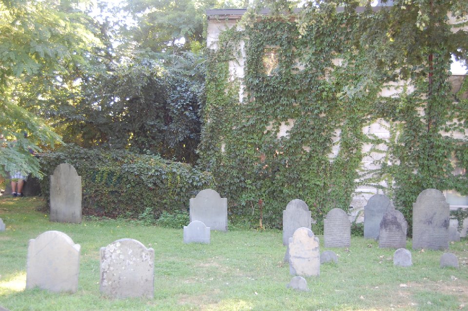 DSC 0239