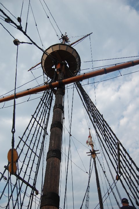 DSC 0336