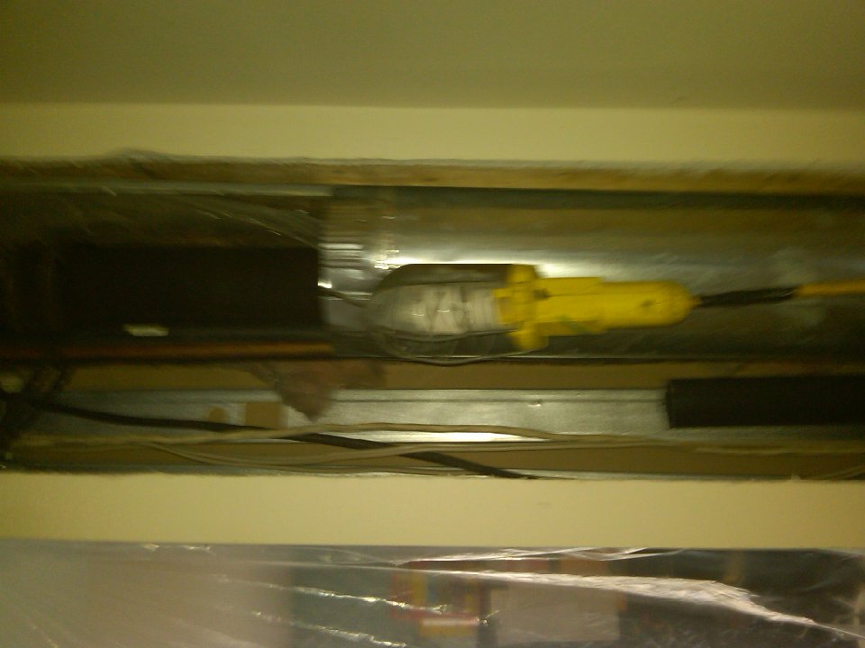 PH 0750