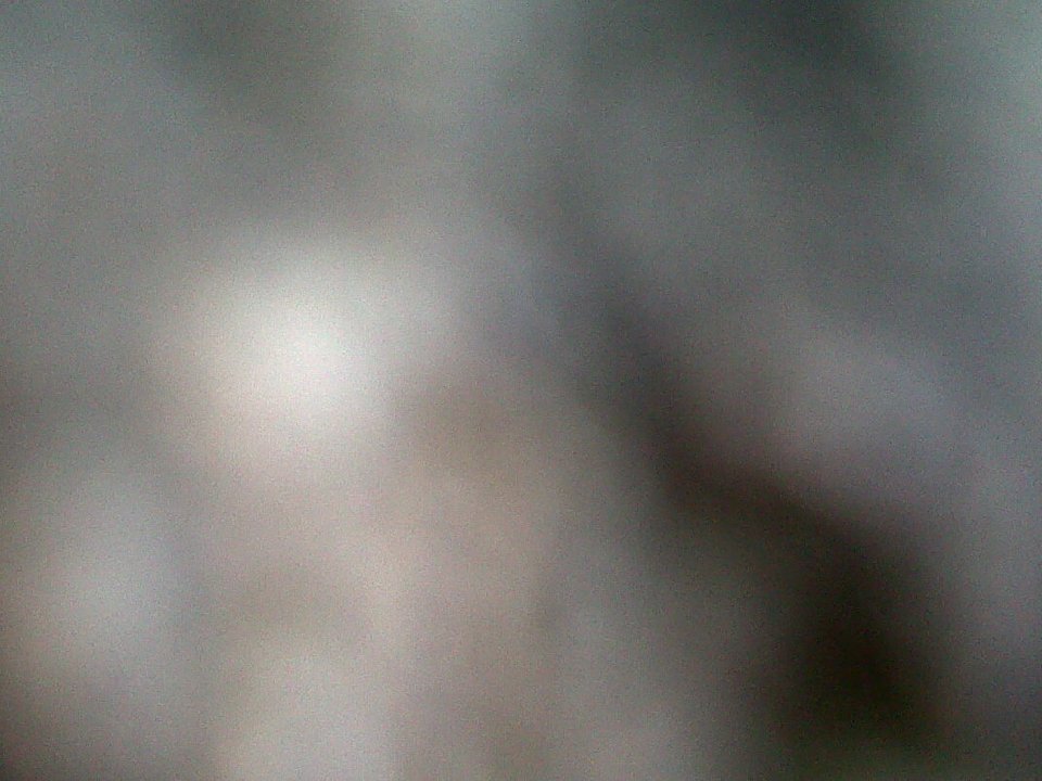 PICT 0266