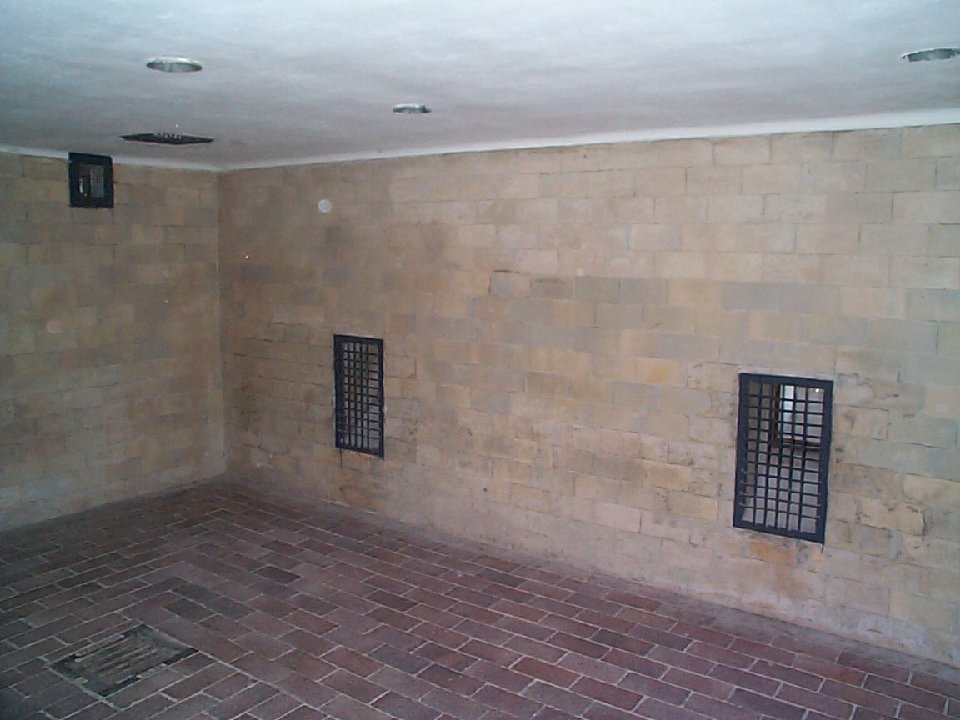 DCP00477