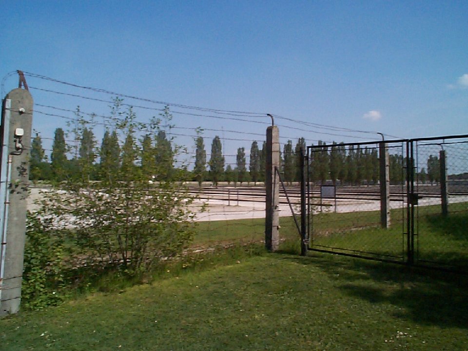 DCP00483