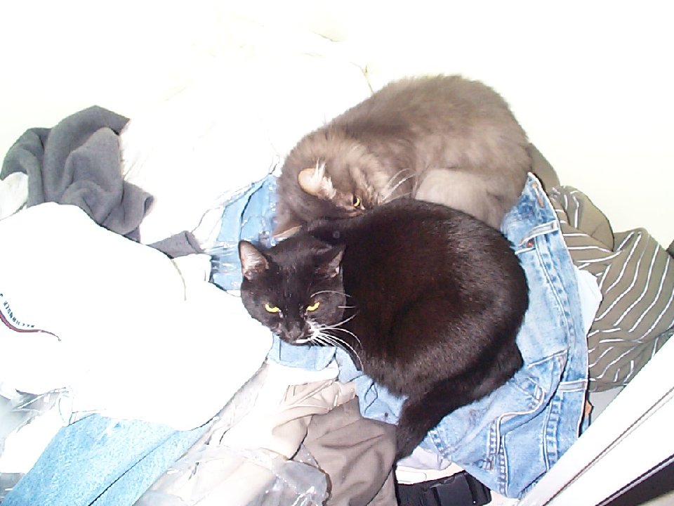DSC 0034