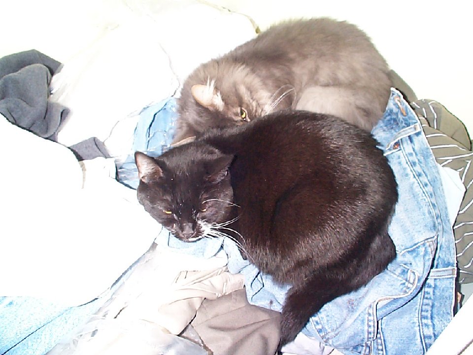 DSC 0035