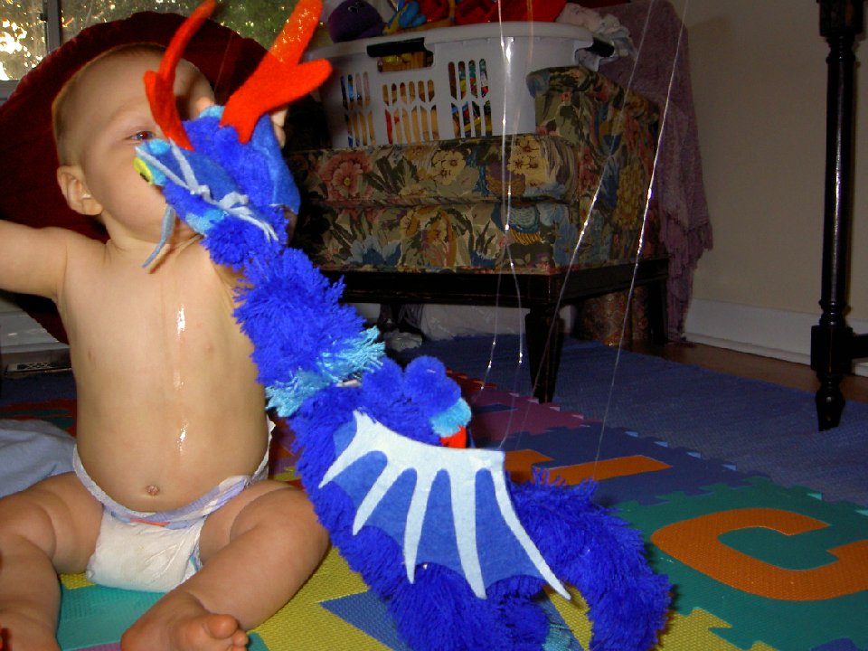 PICT2203