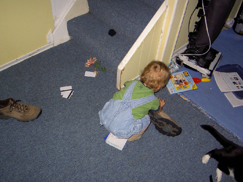 PICT6387