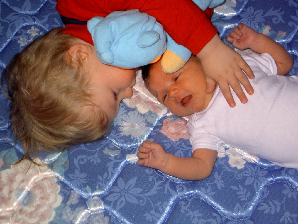 PICT6798