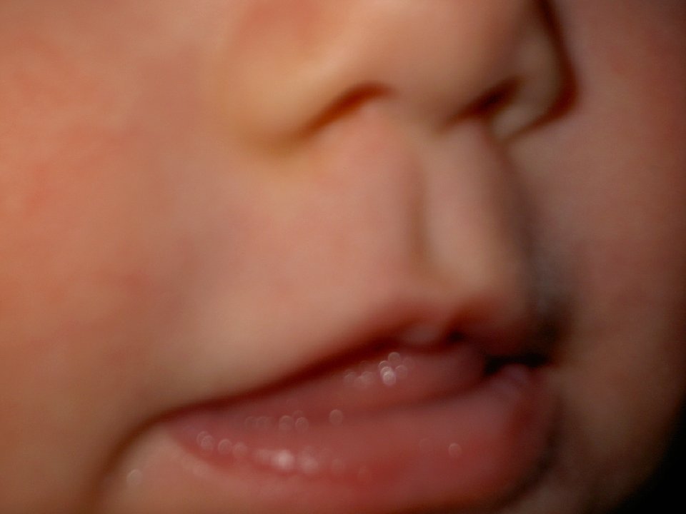 PICT7942