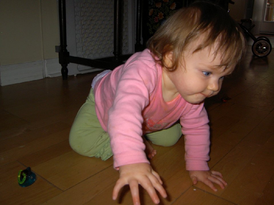 PICT0395