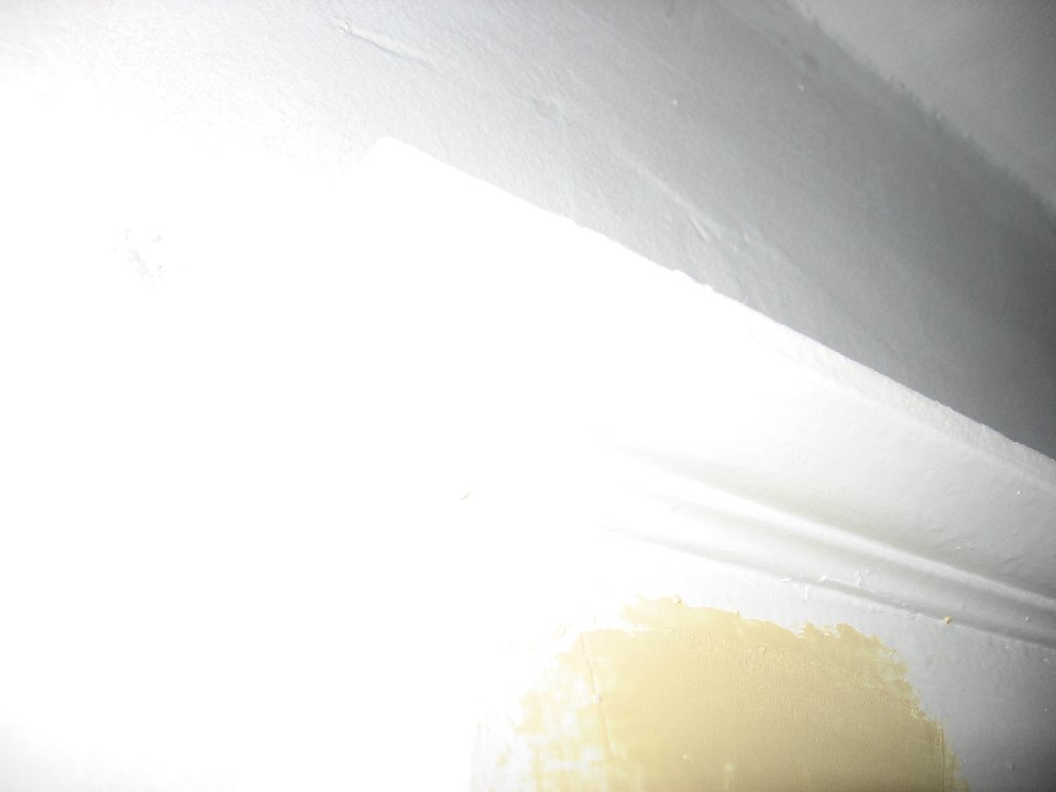IMG 0020