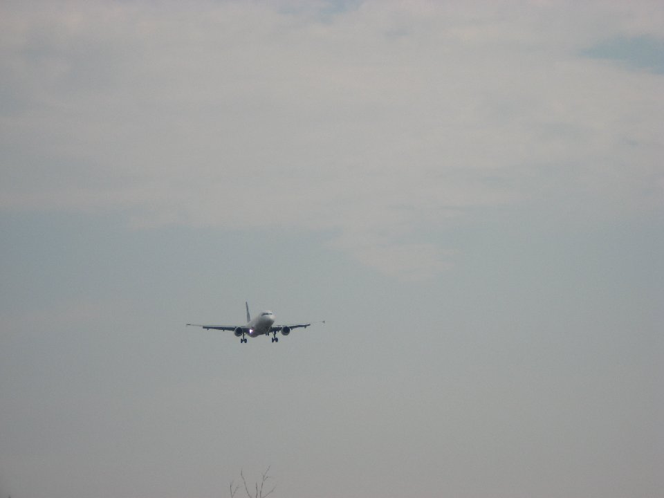 IMG 0054