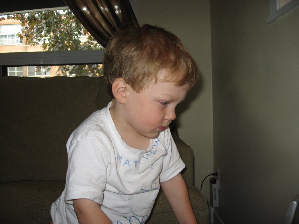 IMG 1629