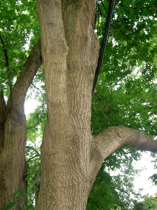 PICT0569