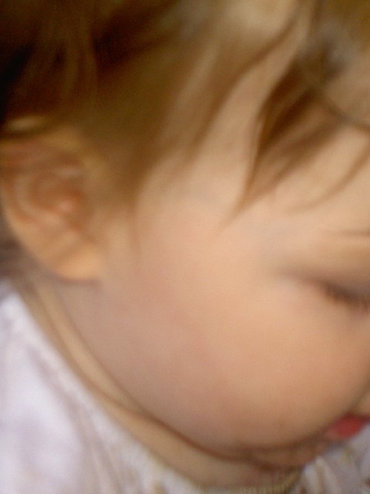 PICT0606