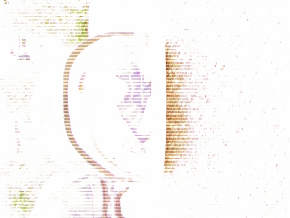 PICT0647