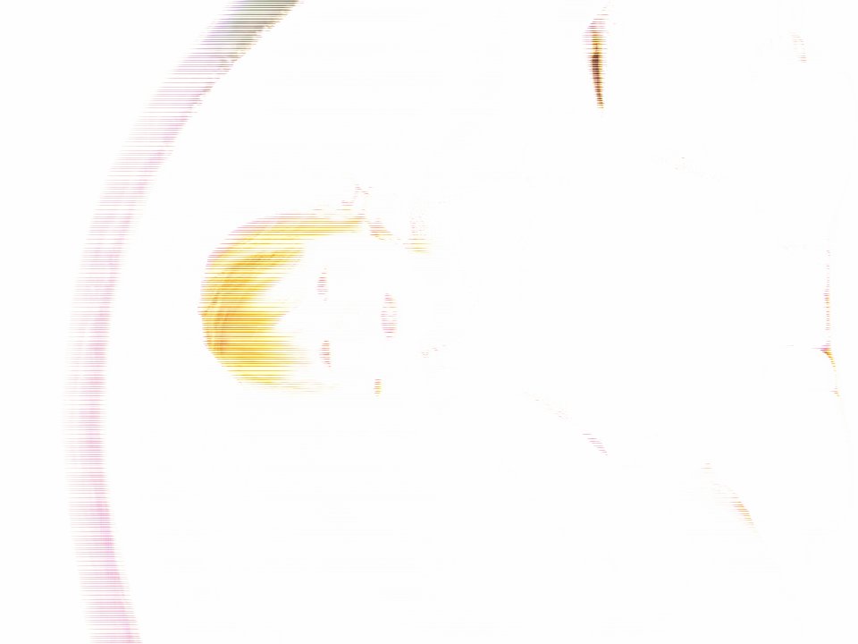 PICT0654