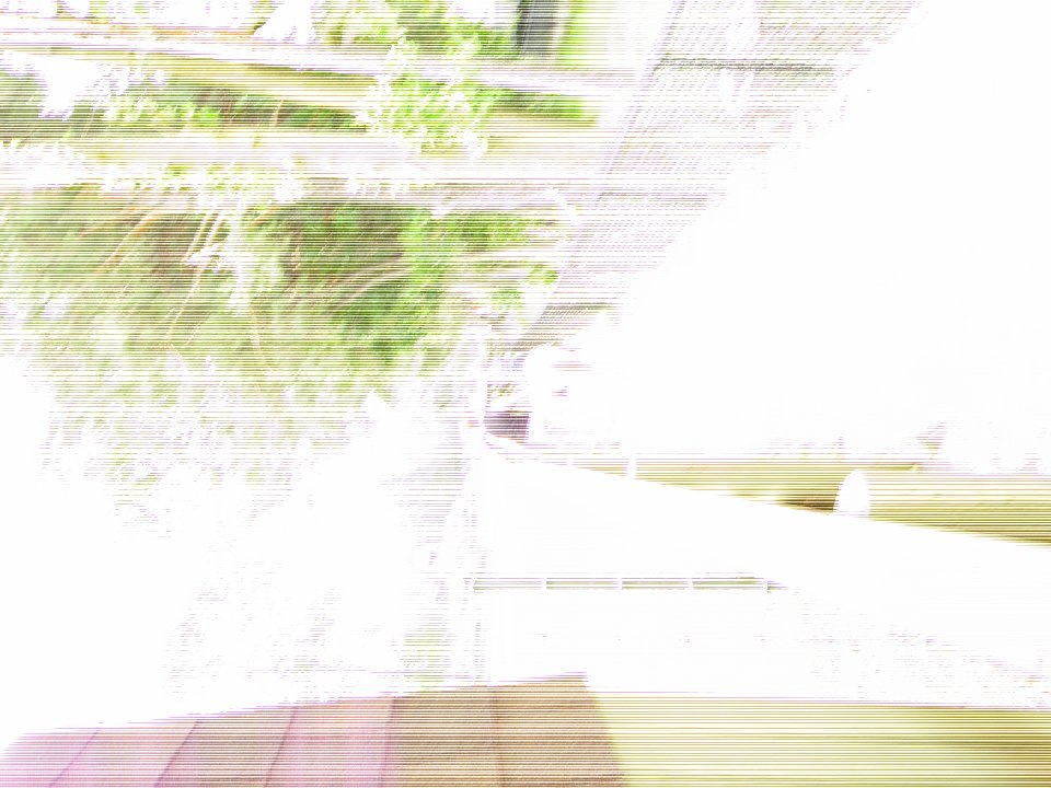 PICT0669
