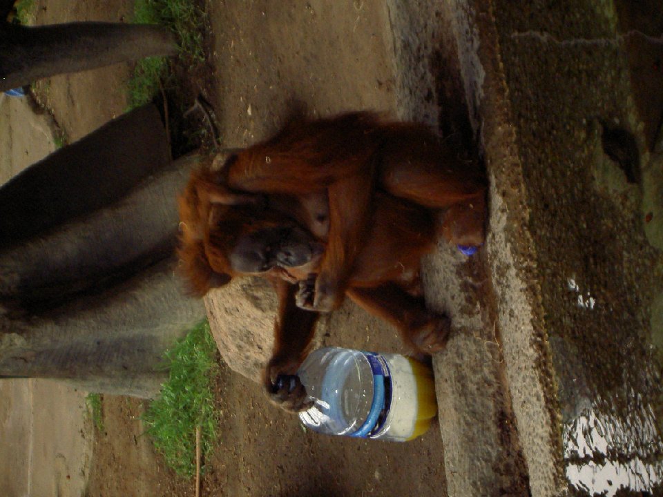 PICT0676
