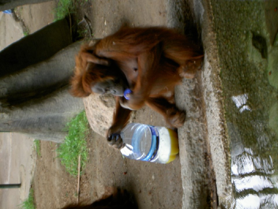 PICT0677