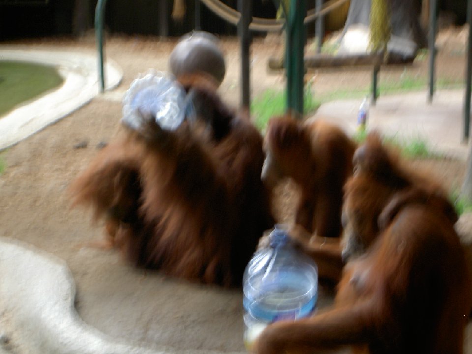 PICT0684