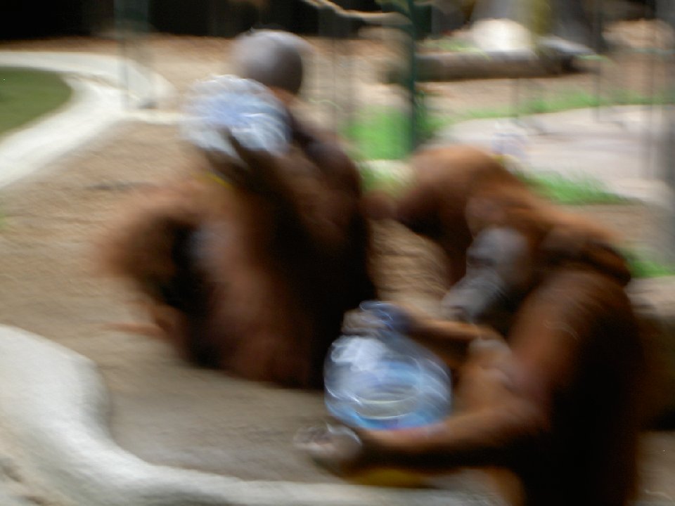 PICT0685