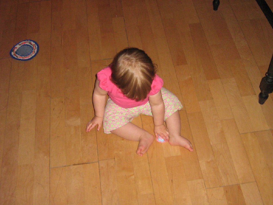 IMG 0002
