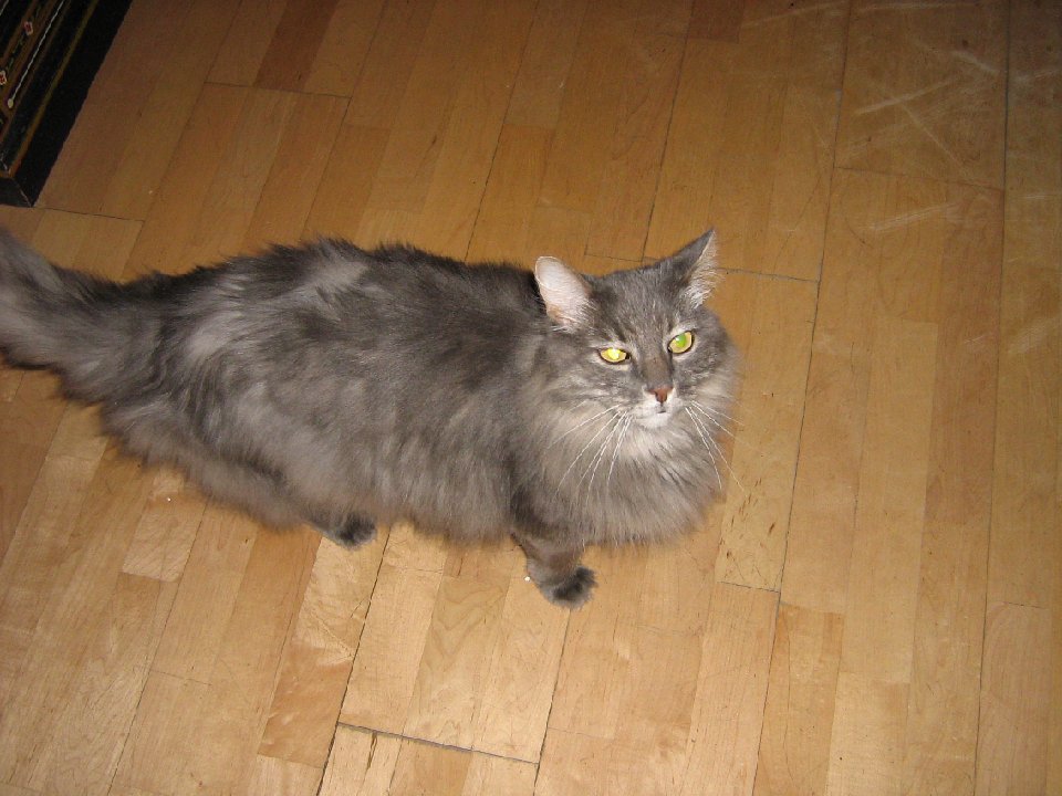IMG 0012