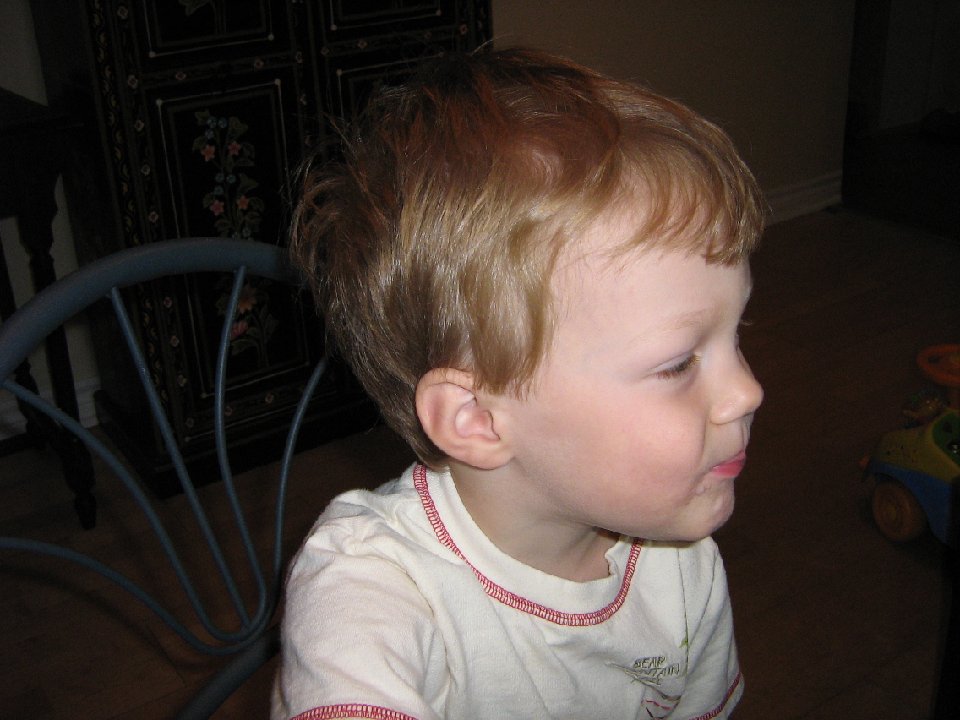 IMG 0025