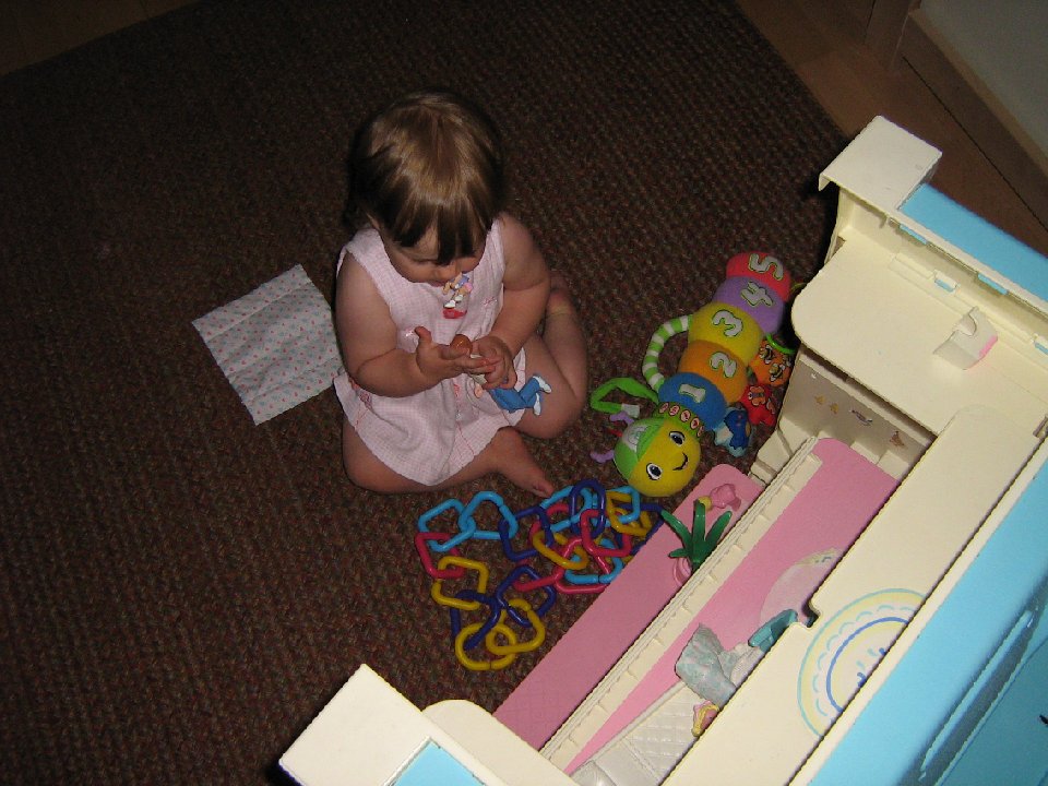 IMG 0030