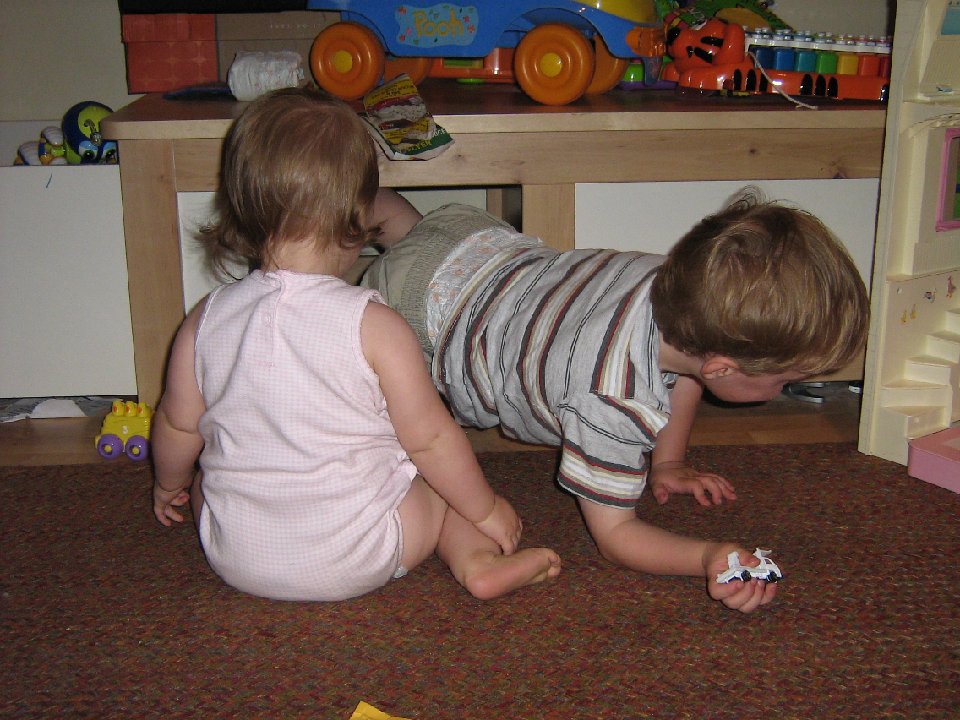 IMG 0044