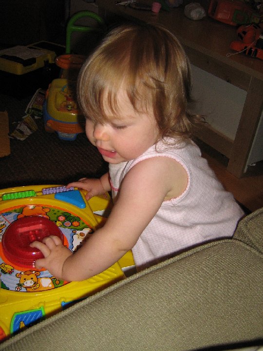 IMG 0064