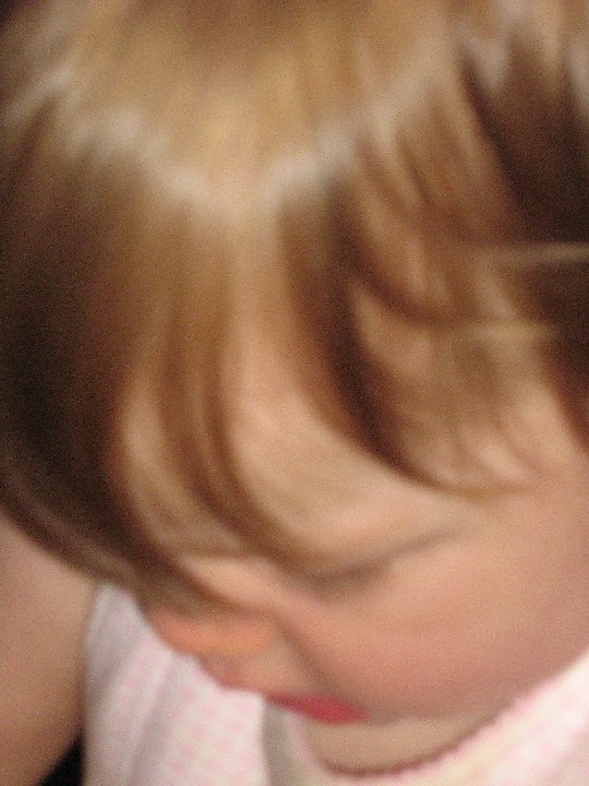 IMG 0065