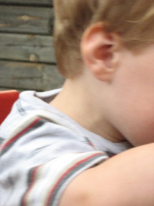 IMG 0078