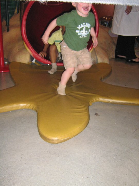 IMG 0127