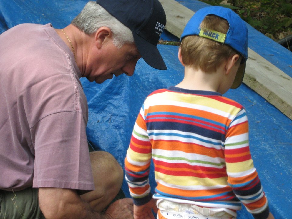 IMG 0208
