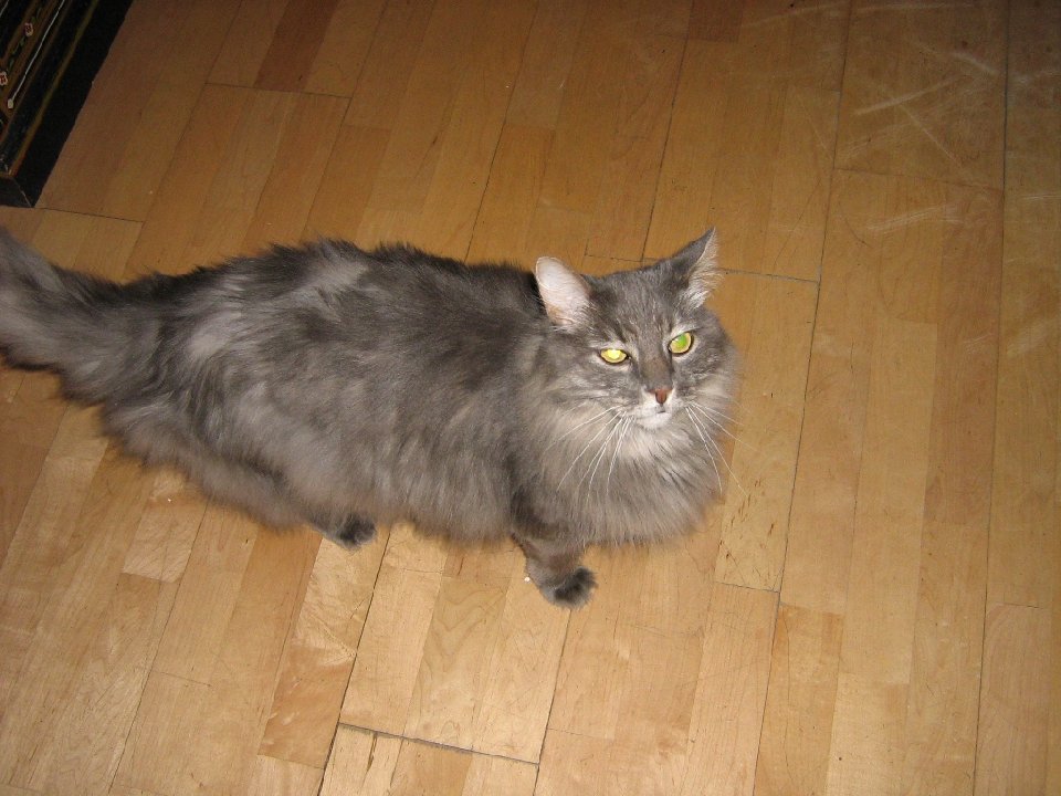 IMG 0012