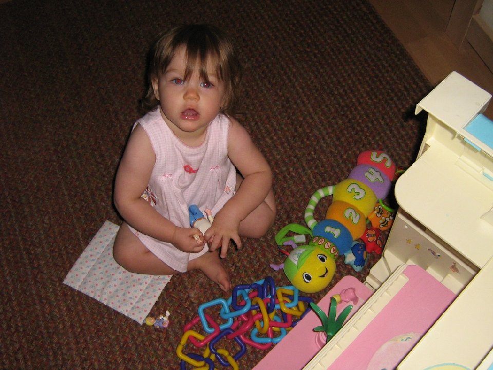 IMG 0028