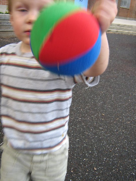 IMG 0093