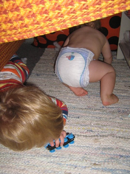 IMG 0193
