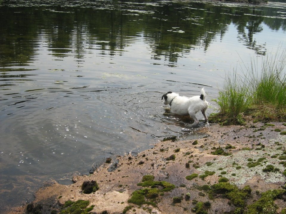 IMG 0225