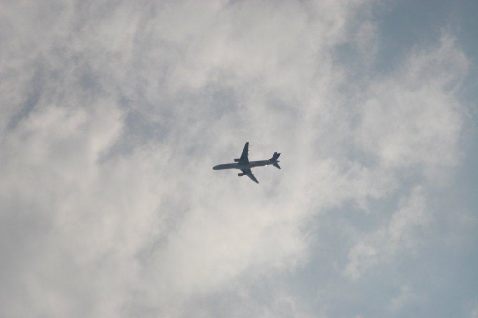 IMG 0942
