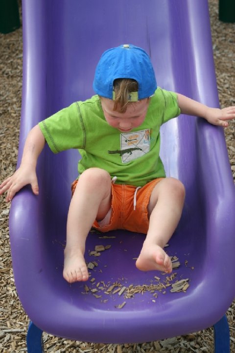 IMG 0995