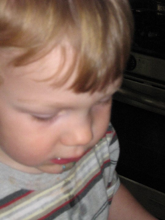IMG 0333
