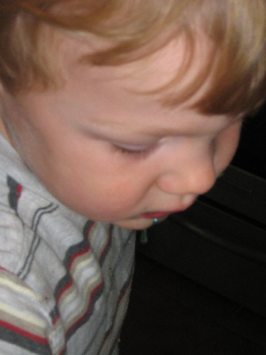 IMG 0334